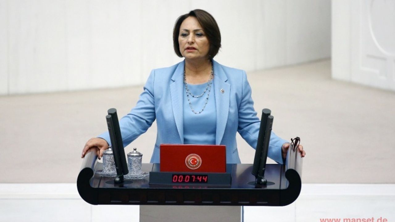Mv. Şevkin: 'AKP hükümeti yurtdışında yaşayan vatandaşlarımız için yeterli hizmet üretemiyor'