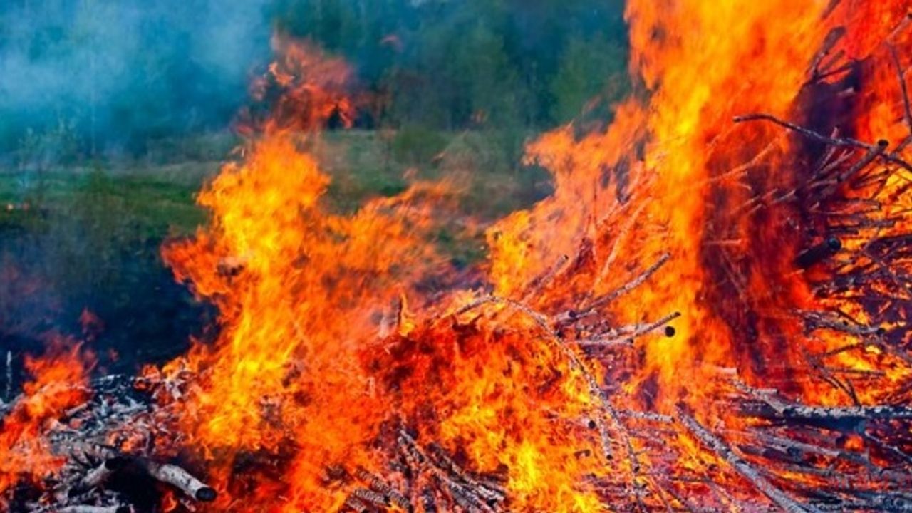 Hamburg Çevre, Enerji ve İklim Dairesi orman yangını riskine karşı uyarıyor!
