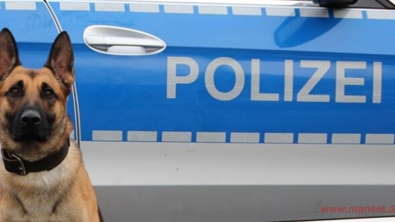 Erneut Haftbefehl gegen mutmaßlichen Drogenhändler vollstreckt