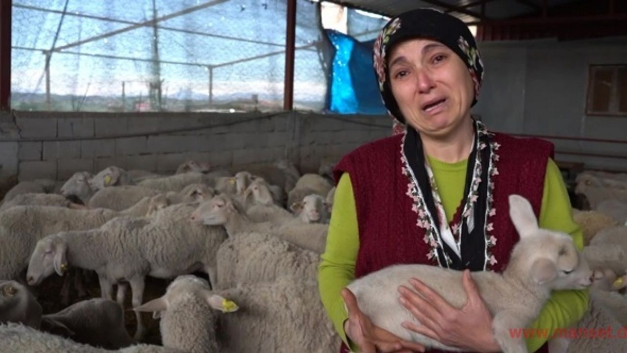 Yolu kapatılan besici kadın açlık grevine başladı