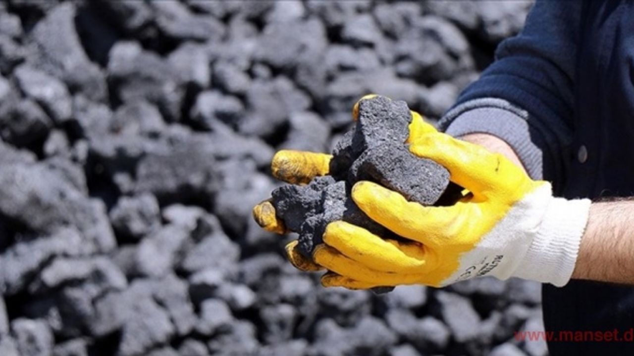 Doğal gazı kesilen Avrupa'da kömür tüketimi artıyor
