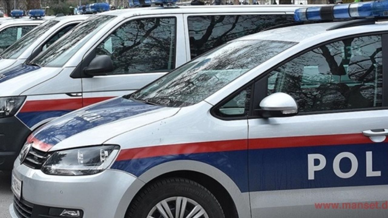 Avusturya’da bir evde çok sayıda silah ve Nazi sembolleri ele geçirildi