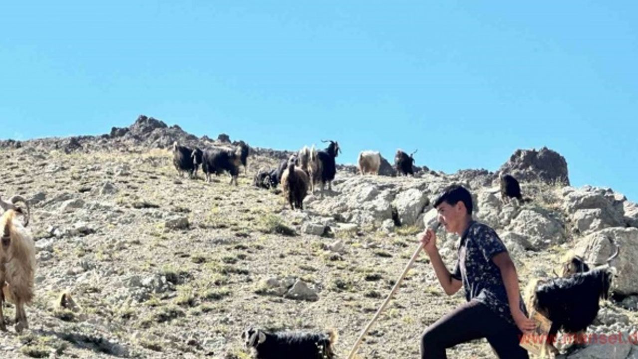 Yaylada çobanlık yapan Muhammet LGS’de Türkiye ikincisi oldu