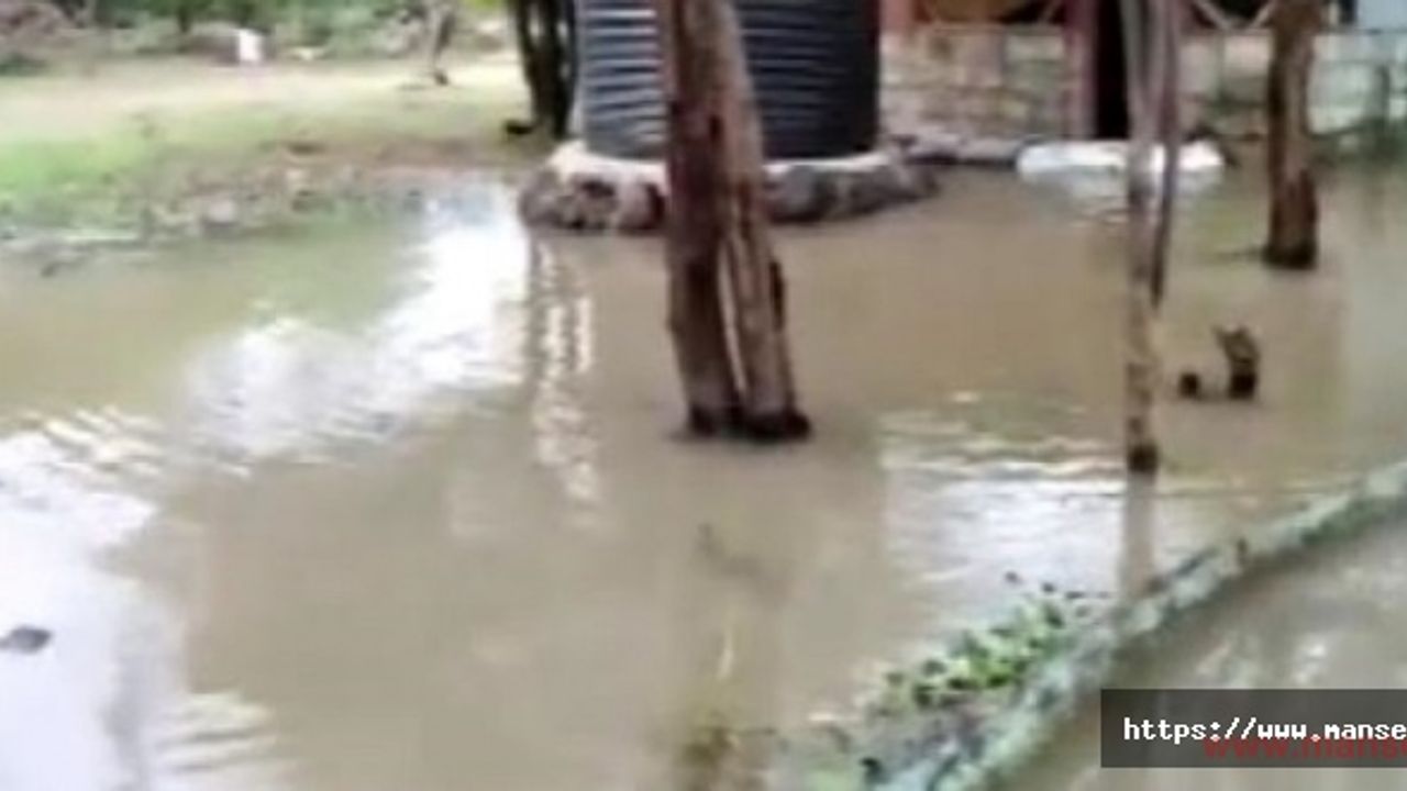 Somali ve Kenya’da sel felaketi: 44 ölü, 300 binden fazla kişi yerinden oldu