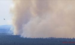 Almanya’da Harz Dağları'ndaki orman yangını nedeniyle acil durum kararı