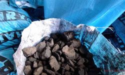 Gaz sıkıntısı çeken Avrupa, Türkiye’den kömür talep ediyor