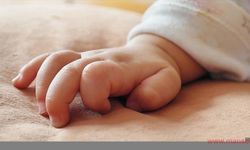 Almanya'da koruma altındaki Türk bebek eşcinsel çiftten alınarak Türk koruyucu aileye verildi