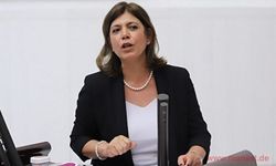 HDP'li Beştaş'ın bahsettiği 'önerge' yalanlandı