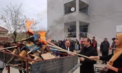 Şırnak’ta Nevruz bayramı kutlandı