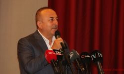 Bakan Çavuşoğlu: “Yurt dışındaki oyların henüz yüzde 80'i sayılmadı”