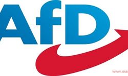 Almanya’da aşırı sağcı AfD ilk kez kaymakamlık seçiminden zaferle çıktı