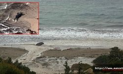 Çeşme’de göçmen faciası: Ölü sayısı 5’e yükseldi