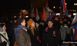 AFD'nin göçmenleri gönderme planı Hamburg’da protesto edildi