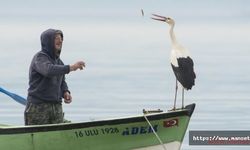 Uluslararası üne sahip 'Yaren Leylek', 13. kez Adem Amca’sına kavuştu