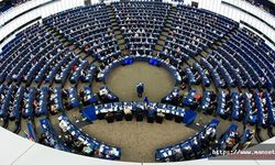 Almanya'da AP seçimlerinde AfD endişesi