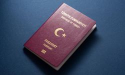 Almanya'da çifte pasaportta tehlike