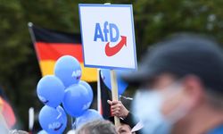 AfD Türkiye kökenlilerin oyunu istiyor