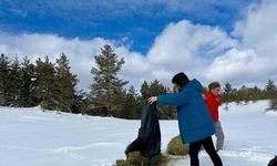 Ilgaz Dağı’nda yayvanlar için yiyecek bırakıldı