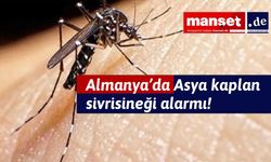 Almanya'nın Bavyera bölgesinde Asya kaplan sivrisineği alarmı