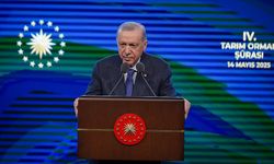 5 şirket Erdoğan'ın gazabına uğradı