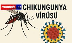 Chikungunya Virüsü Almanya Sınırında: Avrupa’da Tropikal Salgın Alarmı
