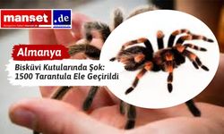 Köln’de Gümrük Şoku: Bisküvi Kutularında 1500 Tarantula Ele Geçirildi