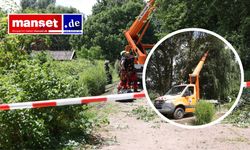 Harburg'da 12 Metrelik Yükseklikte Kurtarma Operasyonu: Kiraz Toplayıcıya Büyük Dal Düştü