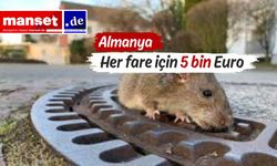 Frankfurt Hali'nde sıçan avlayan Türk toptancılara ceza şoku