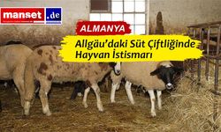 İşletmeciye Hayvan Yasağı