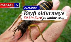 Almanya’da Wespeler koruma altında