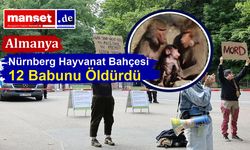 Hayvan Hakları Gruplarından Sert Tepki