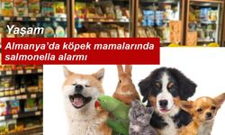 Köpek Mamasında Tehlike: Penny ve Kaufland’daki Ürünler Salmonella Nedeniyle Toplatılıyor