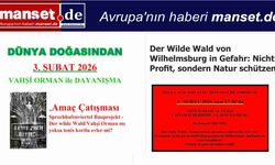 Wilhelmsburg’daki Vahşi Orman Tehlike Altında: “Doğayı Değil, Rantı Seçmeyin”