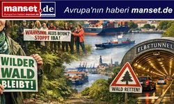 Hamburg’da “Vahşi Orman” Mücadelesi: Initiative Weltnatur Doğa İçin Direniyor