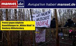 Hamburg-Wilhelmsburg’da “Vahşi Orman” İçin Direniş: Aktivistler Ağaç Kesimine Karşı Nöbette
