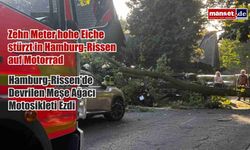 Zehn Meter hohe Eiche stürzt in Hamburg-Rissen auf Motorrad