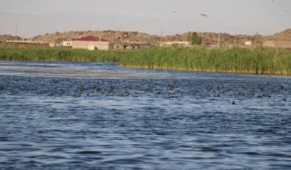 Ağrı Dağı Milli Parkı, doğal güzelliği ve hayvan çeşitliliğiyle dikkat çekiyor