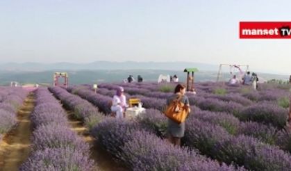 Tekirdağ'daki lavanta tarlaları fotografseverleri ağırlıyor
