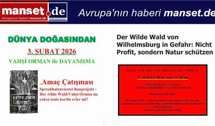 Wilhelm­sburg’daki Vahşi Orman Tehlike Altında: “Doğayı Değil, Rantı Seçmeyin”