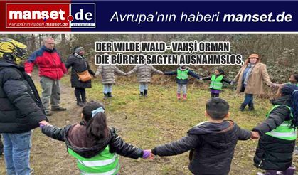 DER WILDE WALD - VAHŞİ ORMAN