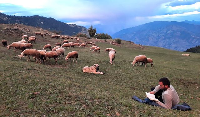 İki üniversite bitirip hayali kaymakamlık olan genç çobanlık yapmaya başladı