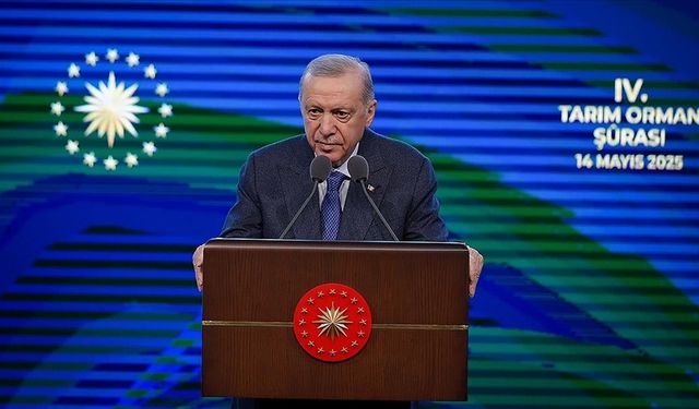 5 şirket Erdoğan'ın gazabına uğradı