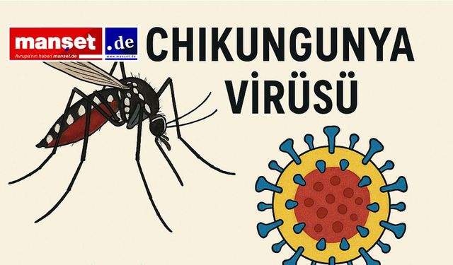 Chikungunya Virüsü Almanya Sınırında: Avrupa’da Tropikal Salgın Alarmı