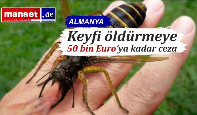 Almanya’da Wespeler koruma altında