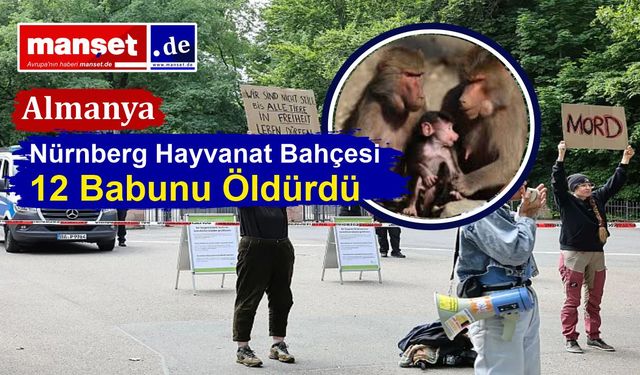 Hayvan Hakları Gruplarından Sert Tepki