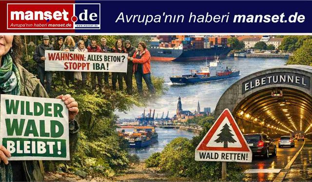 Hamburg’da “Vahşi Orman” Mücadelesi: Initiative Weltnatur Doğa İçin Direniyor
