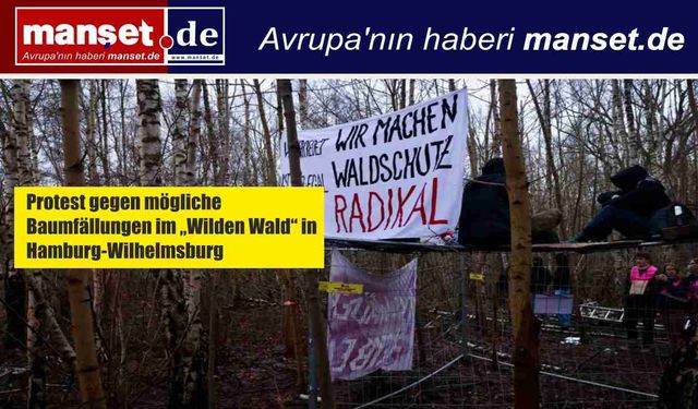 Hamburg-Wilhelmsburg’da “Vahşi Orman” İçin Direniş: Aktivistler Ağaç Kesimine Karşı Nöbette