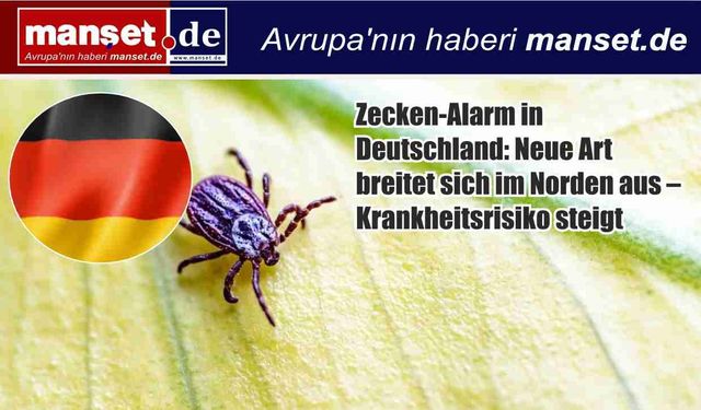Almanya’da Kene Tehlikesi Büyüyor: Yeni Tür Kuzeye Yayılıyor, Hastalık Riski Artıyor