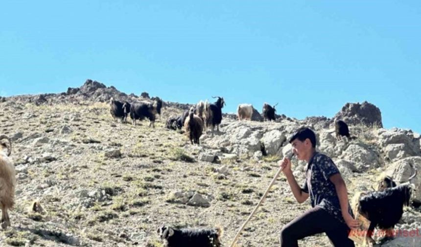 Yaylada çobanlık yapan Muhammet LGS’de Türkiye ikincisi oldu