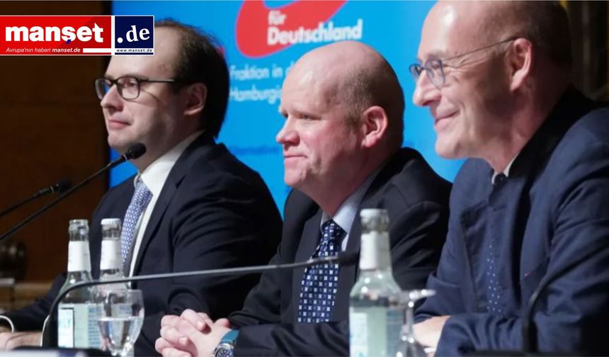 Ist die Hamburger AfD wirklich moderat – oder tut die nur so, Herr Professor?
